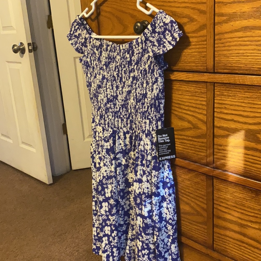 Express Dress - Picture 2 of 4